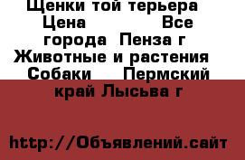 Щенки той терьера › Цена ­ 10 000 - Все города, Пенза г. Животные и растения » Собаки   . Пермский край,Лысьва г.